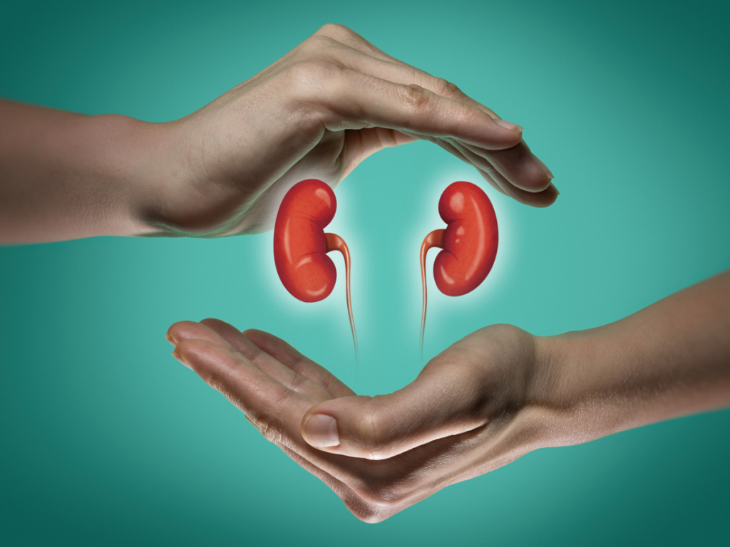 Doctors explain how a high-salt and a high-protein diet harm your kidneys  | The Times of India