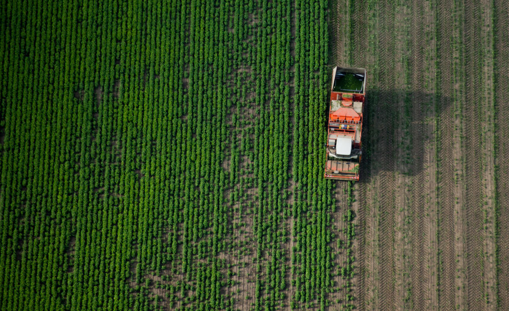 Germany Rolls Back Environmental Rules To Boost Crop Supply