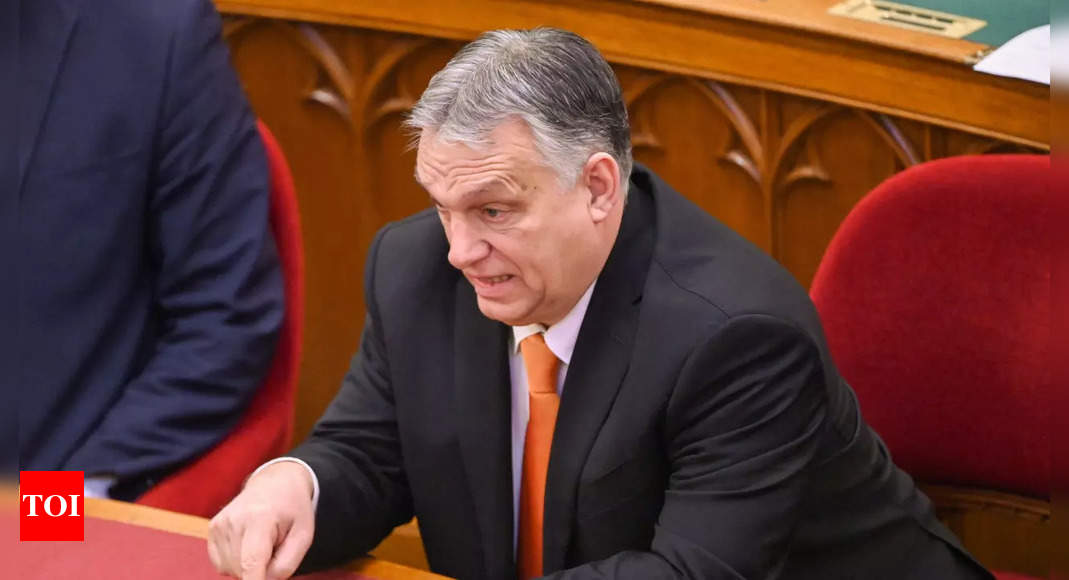 Hungary PM Viktor Orban says EU will not sanction Russian