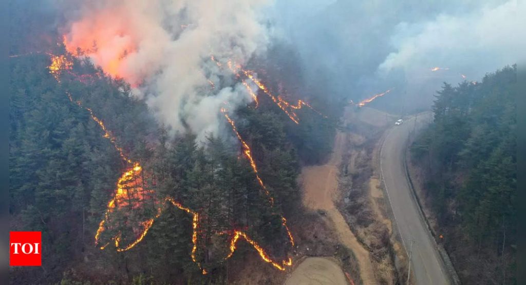 South Korean wildfire destroys 90 homes, forces 6,000 to flee – Times of India