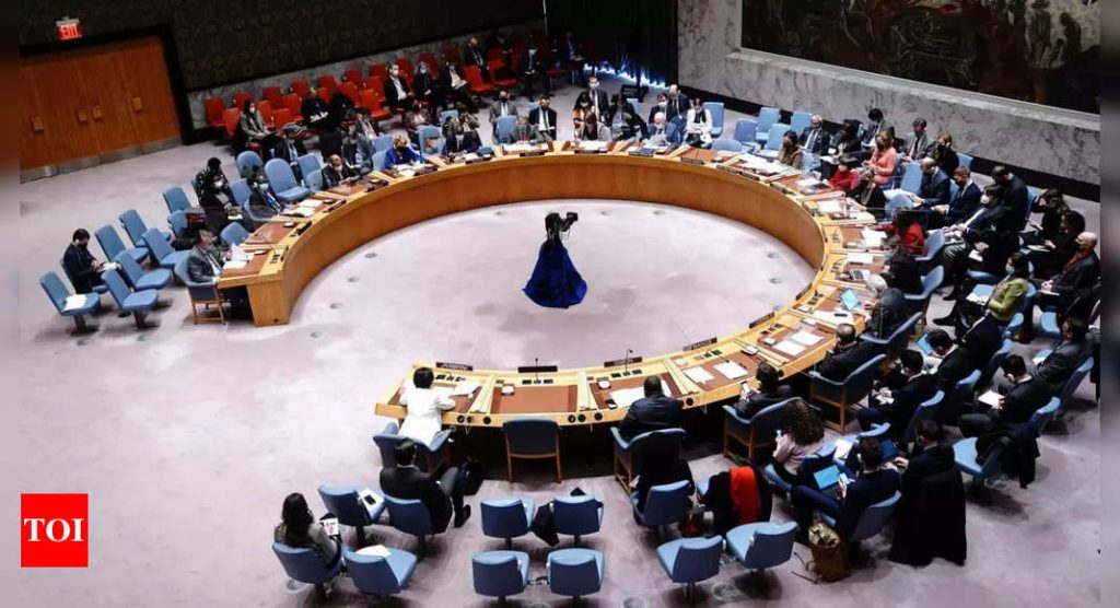 russia:  US accuses Russia of using UN council for ‘disinformation’ – Times of India